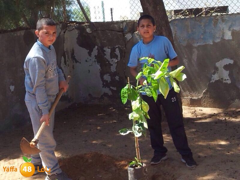 ashjar okhowa (3).jpg